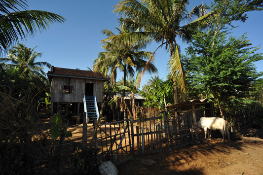 IMG/jpg/Habitat_rural_cambodge_4_.jpg